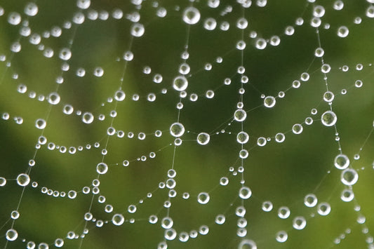 Natures jewelery
